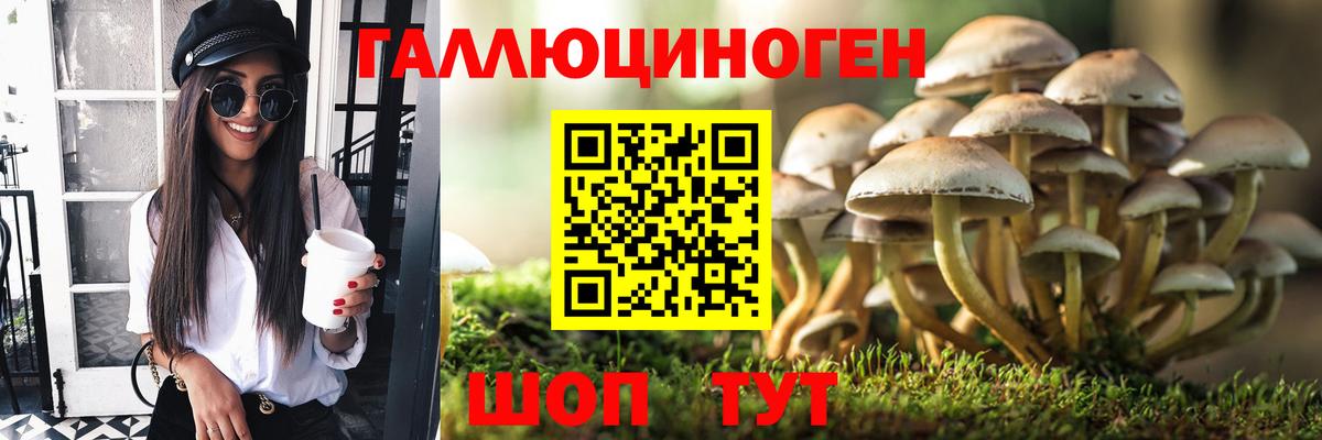 Галлюциногенные грибы MAGIC MUSHROOMS Удомля